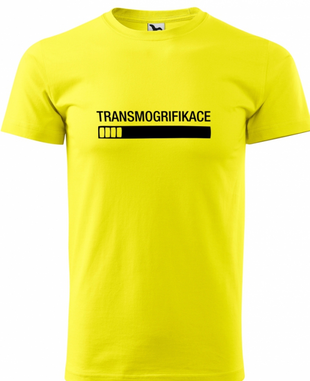 Transmogrifikace