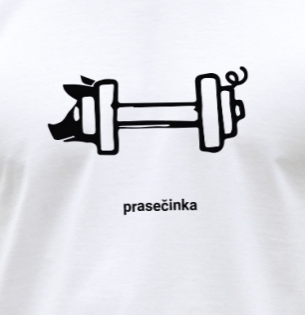 Prasečinka